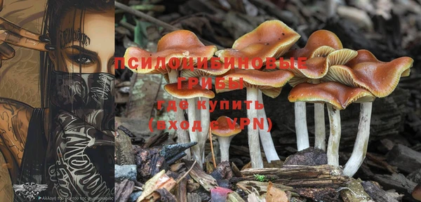 мефедрон Нефтегорск