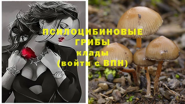 дурь Надым