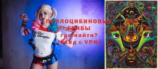 хмурый Ветлуга
