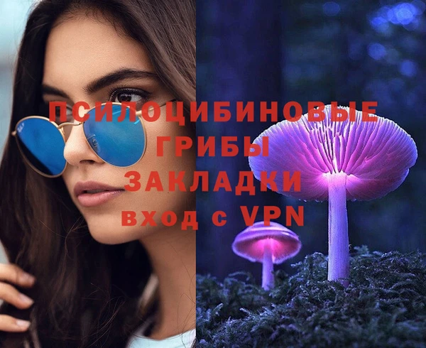 PSILOCYBIN Балахна