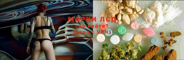 PSILOCYBIN Балахна