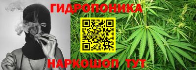 дмт Берёзовский