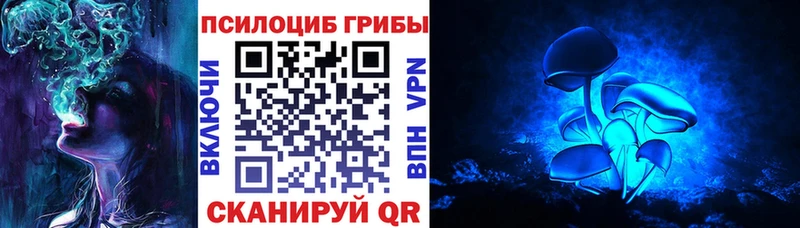 купить   Электрогорск  Псилоцибиновые грибы мицелий 