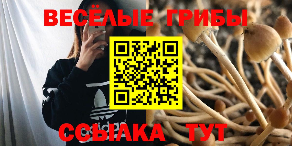 Галлюциногенные грибы мицелий Электрогорск