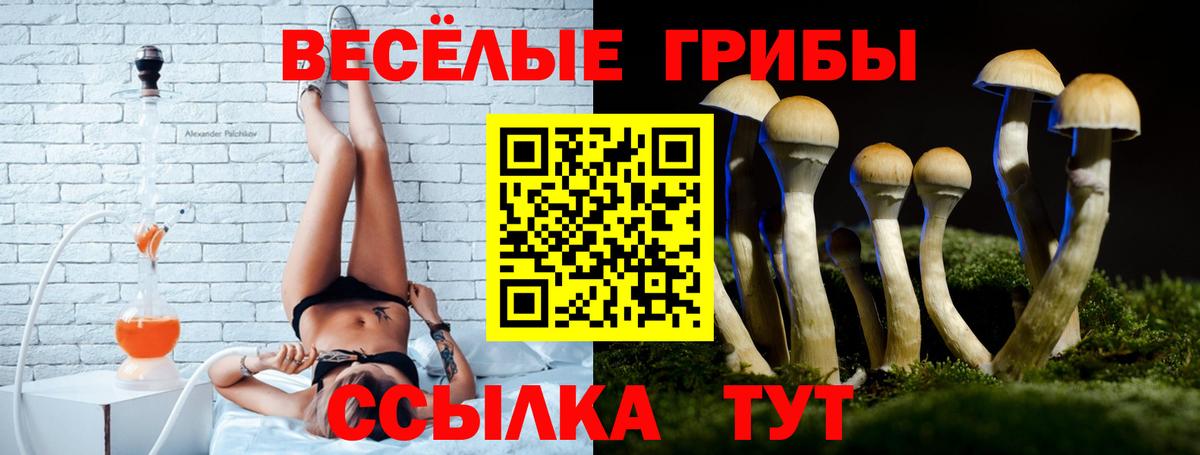 Галлюциногенные грибы мухоморы Электрогорск