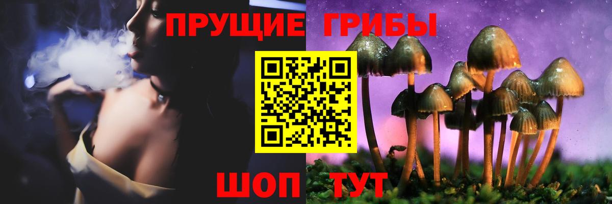 Электрогорск  Псилоцибиновые грибы Magic Shrooms  Вход с VPN 